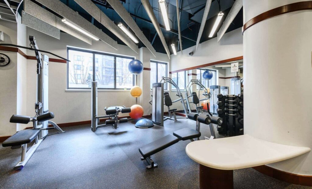 A modern gym with various exercise machines, free weights, stability balls, and large windows letting in natural light.